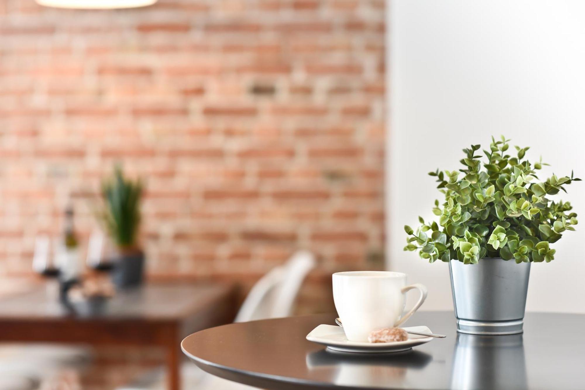 Green Garden Apartment Торунь Экстерьер фото